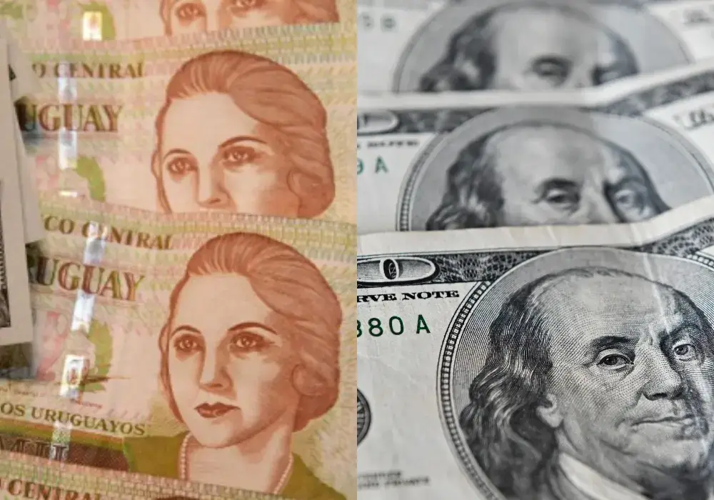 Dolar y Peso Uruguayo