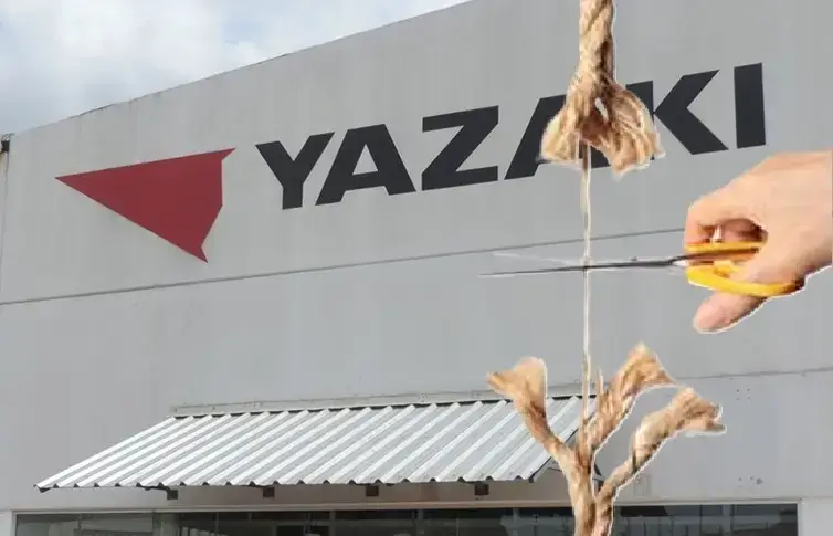 Planta en Las Piedras de la autopartista japonesa Yazaki en Uruguay